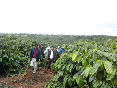 Đầu năm nghe nông dân kể chuyện làm giàu ảnh 1